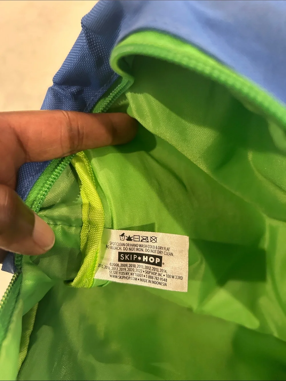 Skip Hop Blue and Green Dinosaur Kids Backpack